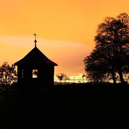 Ferienwohnung Mit Panoramablick Viktorsberg Zewnętrze zdjęcie
